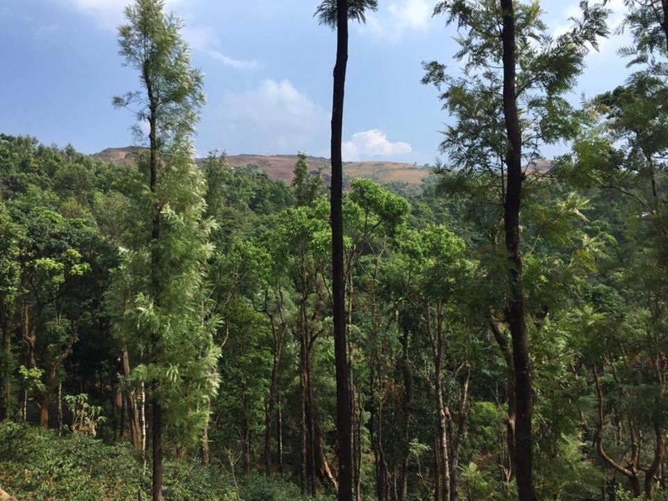 Cloud 9 Homestay Attigundi Dış mekan fotoğraf